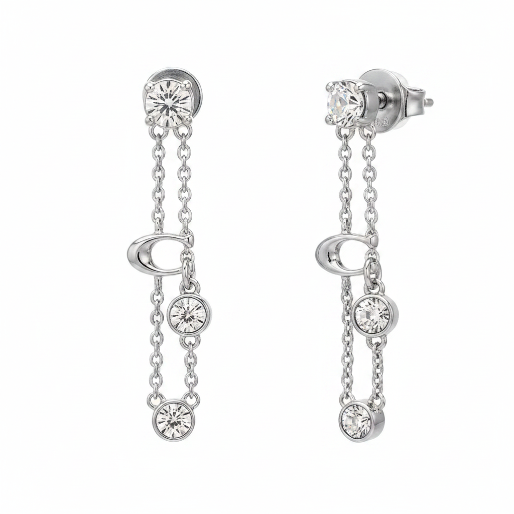 Coach Crystal Chain Earrings macro detail