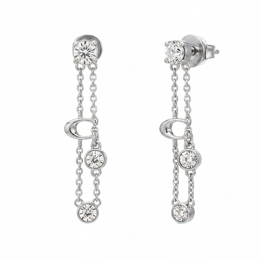 Coach Crystal Chain Earrings macro detail